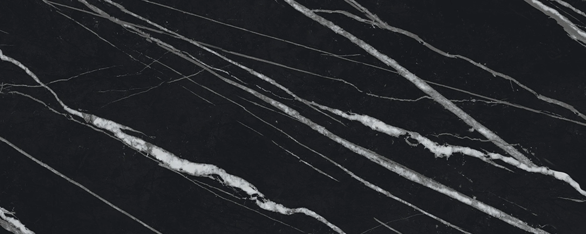 Lamar Marquina Venato